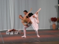antea044